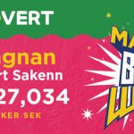 Loto Vert : Rs 127,034 pour chacun des 9 gagnants