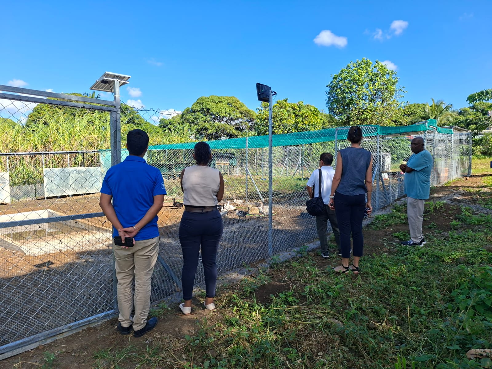 MOL Charitable Trust : La Ferme Nou Leritaz renforce l’autonomie des familles et des enfants de L’Escalier